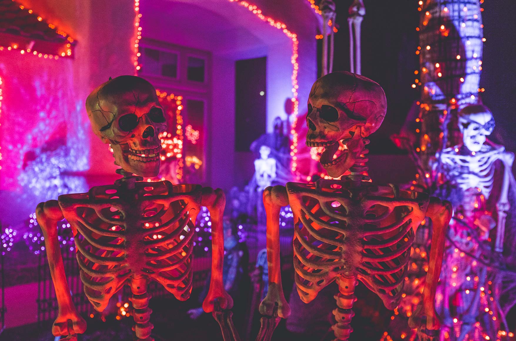 Skulls night event-page-middle